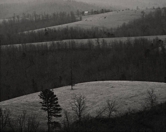 Rolling Hills and Frost, from Roger Minick: Ozark Portfolio, Twelve Photographs