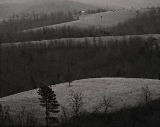 Rolling Hills and Frost, from Roger Minick: Ozark Portfolio, Twelve Photographs