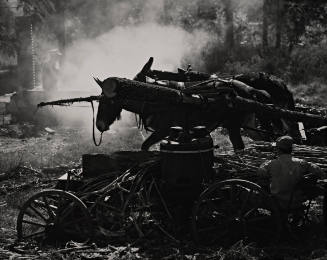 Molasses Making, from Roger Minick: Ozark Portfolio, Twelve Photographs