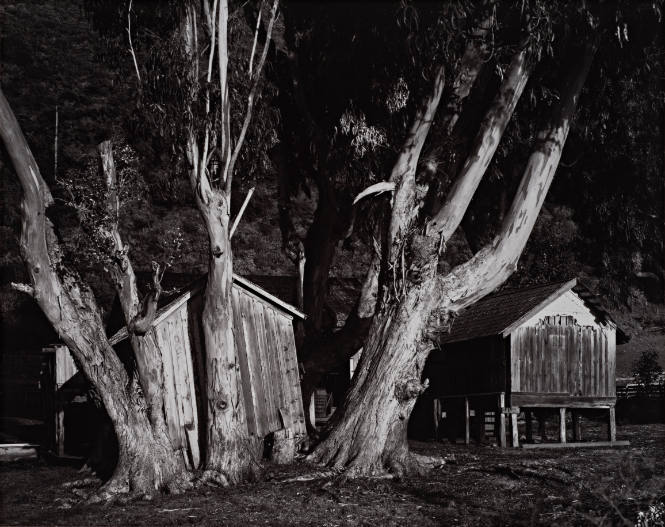 Grimes Ranch, Palo Colorado, from Morley Baer: Portfolio II: Garrapata Rock