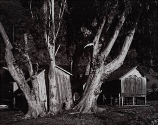 Grimes Ranch, Palo Colorado, from Morley Baer: Portfolio II: Garrapata Rock