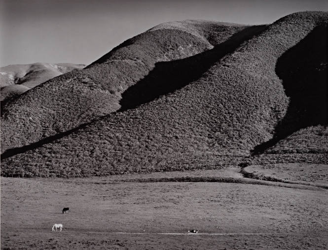 Mr. Doud’s Horses, Portuguese Ridge, from Morley Baer: Portfolio II: Garrapata Rock