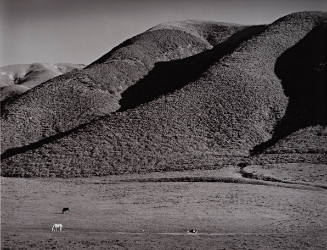 Mr. Doud’s Horses, Portuguese Ridge, from Morley Baer: Portfolio II: Garrapata Rock