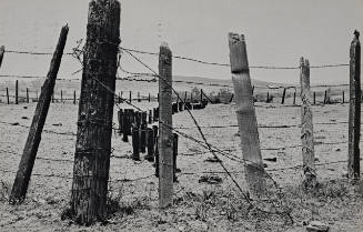 100 Boots at the Corral (100 Boots Go East)