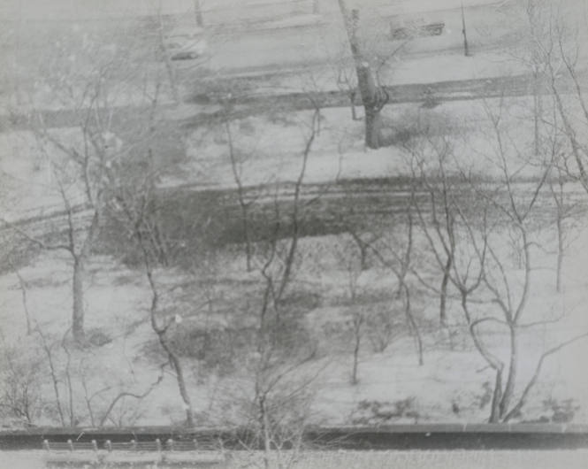 Central Park in a snowstorm, From 9D, 146 Central Park West