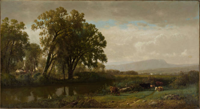 Landscape with Cattle