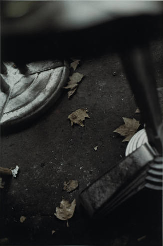 Untitled (fallen leaves) from L'Histoire de France portfolio