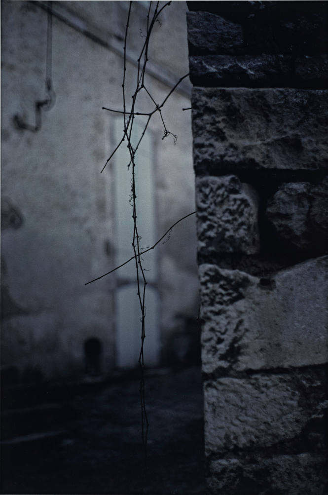 Untitled (stonewall with twigs) from L'Histoire de France portfolio