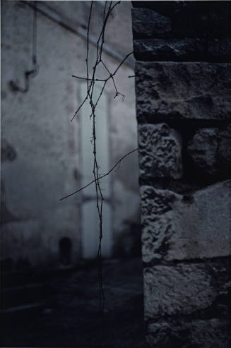 Untitled (stonewall with twigs) from L'Histoire de France portfolio