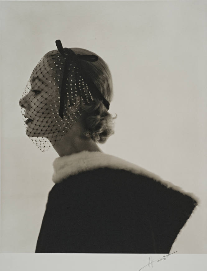 Fur Collar
