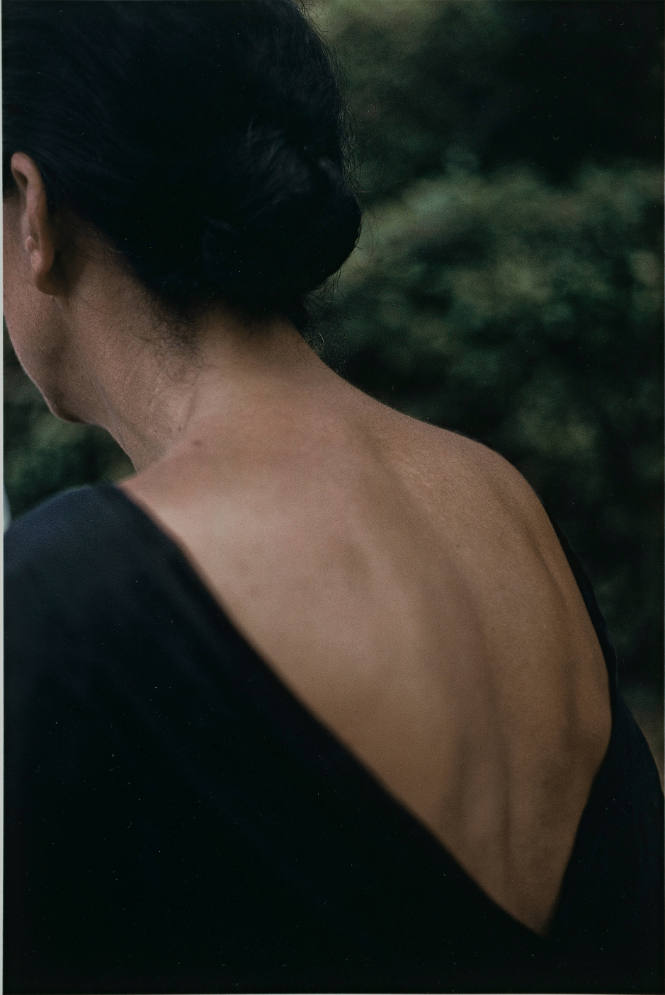 Untitled (v-backed dress) from L'Histoire de France portfolio