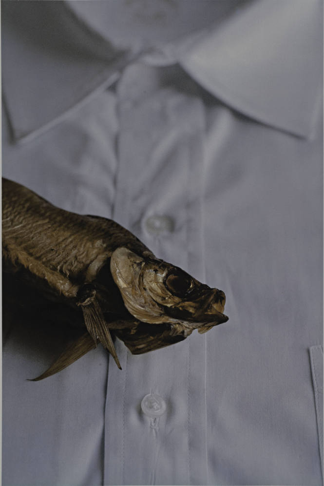 Untitled (fish) from L'Histoire de France portfolio