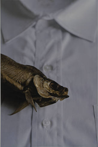 Untitled (fish) from L'Histoire de France portfolio