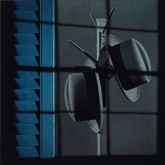 Untitled (Diptych)