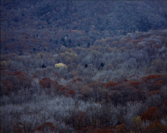 11/15/84: Doodletown Valley from Bear Mountain: 9:30 AM