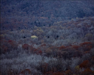 11/15/84: Doodletown Valley from Bear Mountain: 9:30 AM