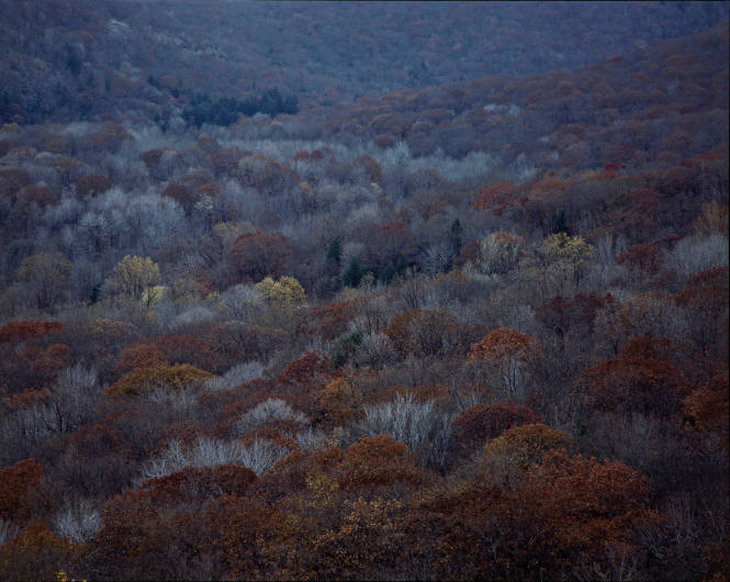 11/15/84: Doodletown Valley from Bear Mountain: 9:30 AM