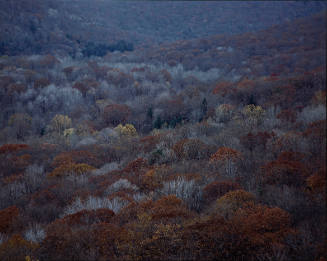 11/15/84: Doodletown Valley from Bear Mountain: 9:30 AM