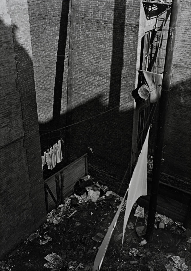 Untitled [Backyard], from the series Harlem Document