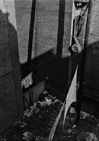 Untitled [Backyard], from the series Harlem Document
