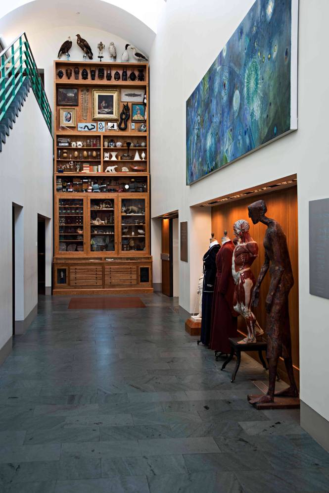 Universal Collection: A Mark Dion Project