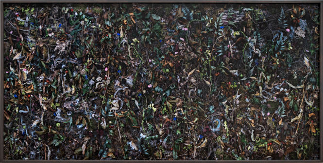 Woven No. 1