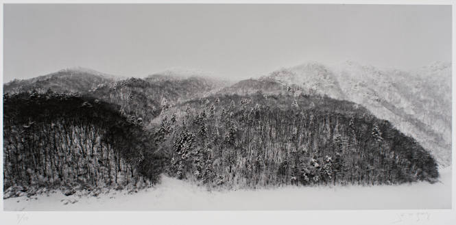 Landscape 0033