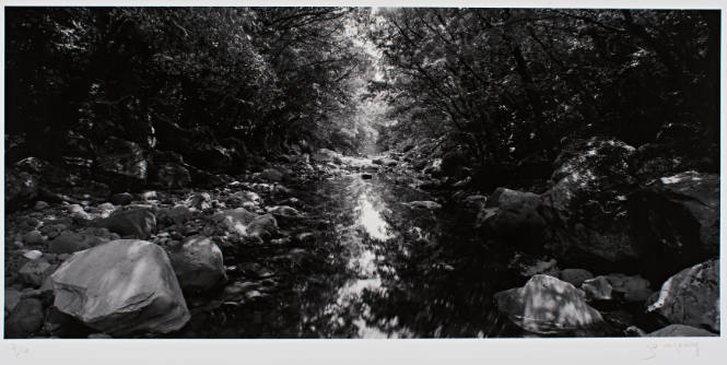 Landscape 0038