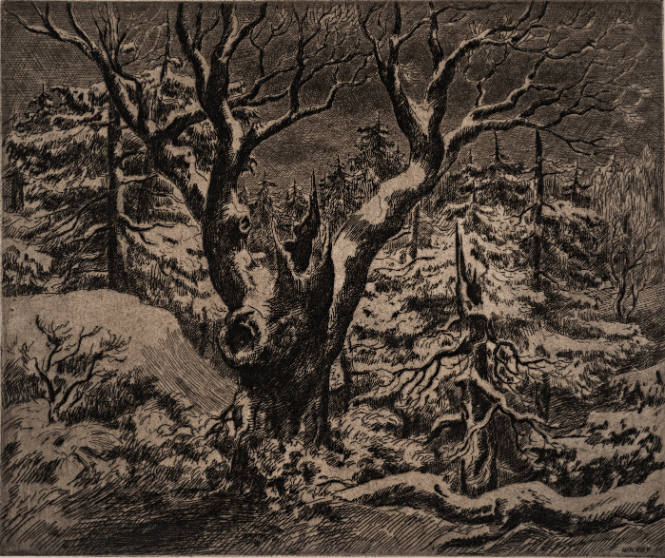 Trees by Moonlight, No. 2