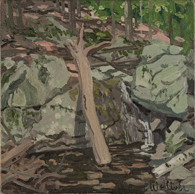 Untitled (Forest)