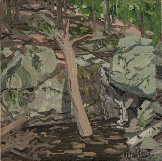 Untitled (Forest)