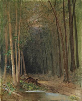 A Lonely Road