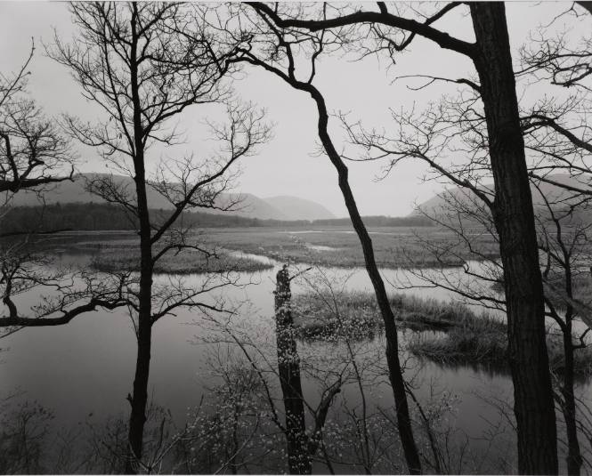 Constitution Marsh, Hudson River, New York