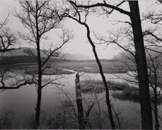 Constitution Marsh, Hudson River, New York