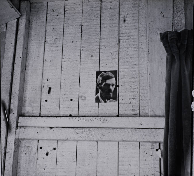Dylan's Workshed Wall with Photograph