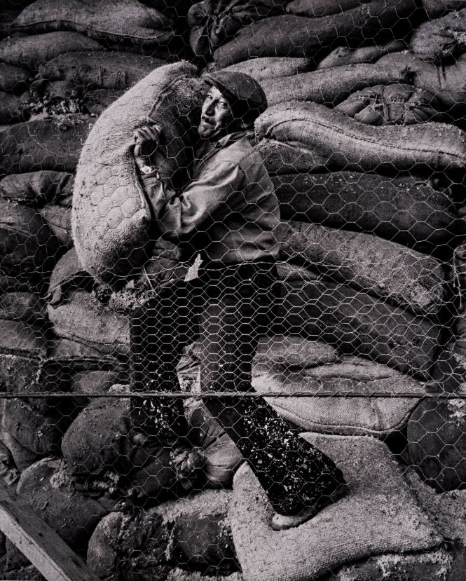 1961, Colombia (Man moving burlap sacks)

