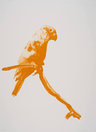 Iguaca, from Exit Art portfolio, 2011: SEA (Social-Environmental Aesthetics)