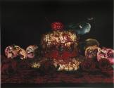 Contemporary Japanese Photography from the Permanent Collecton