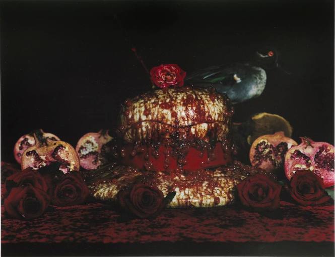 Contemporary Japanese Photography from the Permanent Collecton