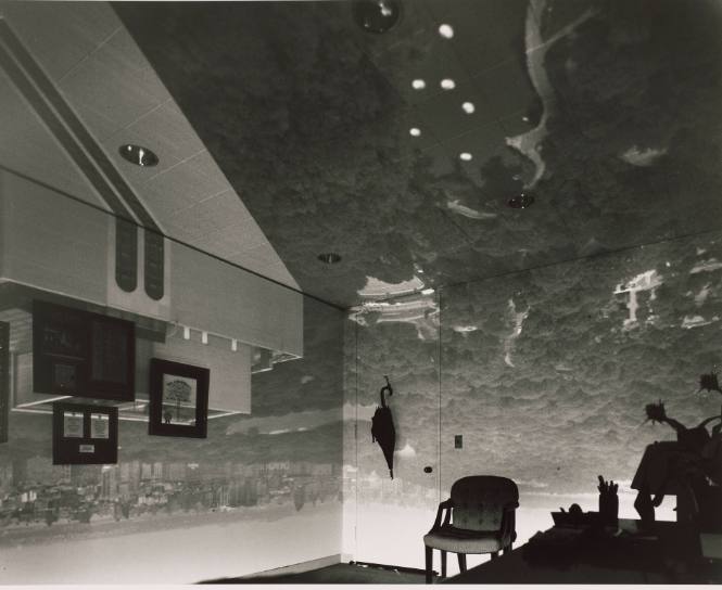 Camera Obscura Image of Central Park Looking Northwest in Office