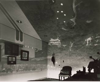 Camera Obscura Image of Central Park Looking Northwest in Office