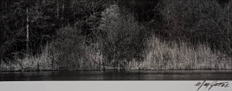 Spring Pond #2, Lloyd Harbor Pond, Long Island