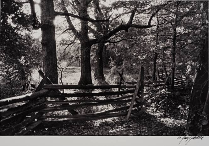 On the Blue Ridge, Virginia