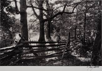 On the Blue Ridge, Virginia