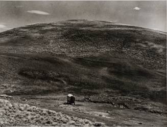 Sheepherder's Wagon, Montana