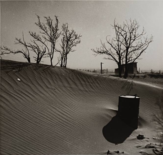 Sand Drift with Trees and Oil Barrel