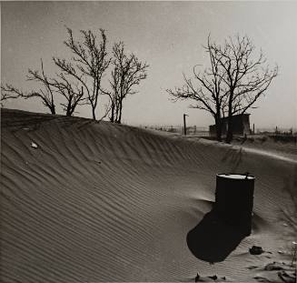 Sand Drift with Trees and Oil Barrel