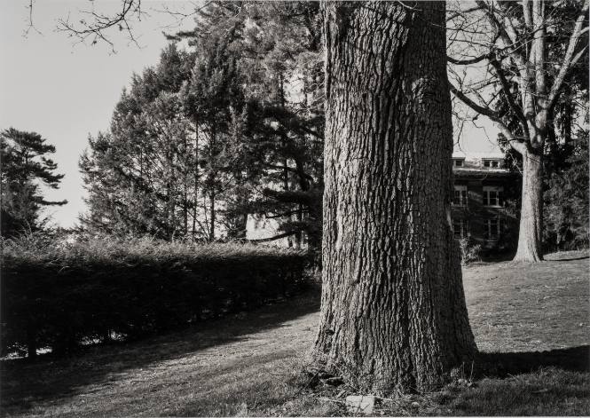 White Oak, Class of 1930, outside Shakespeare Garden