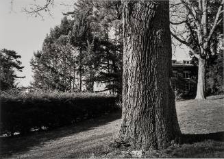 White Oak, Class of 1930, outside Shakespeare Garden