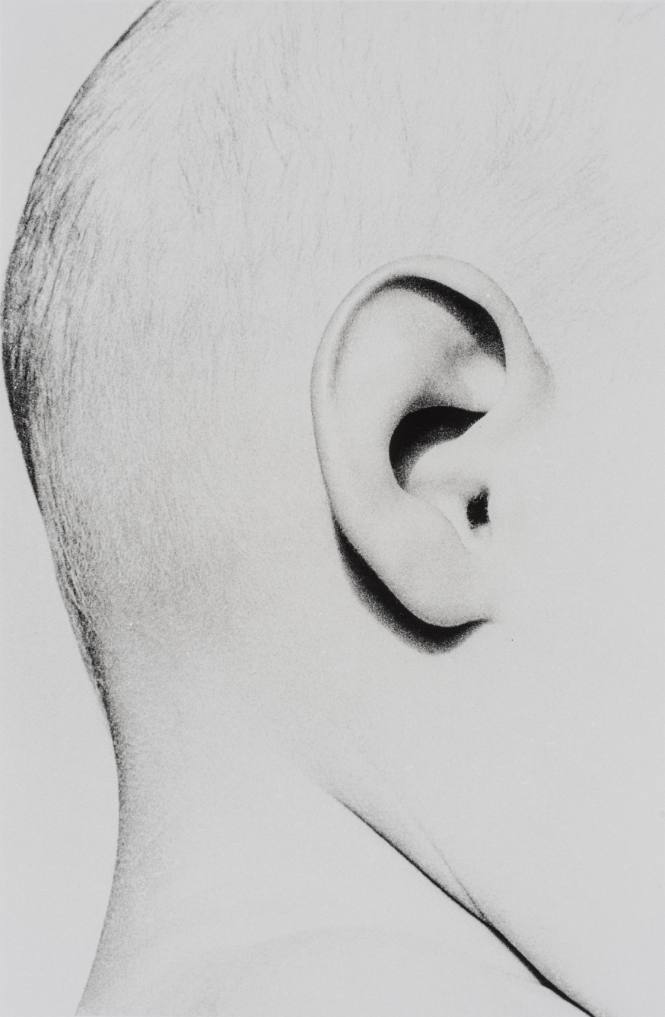 Untitled, 1985